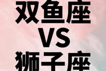 双鱼狮子配对指数