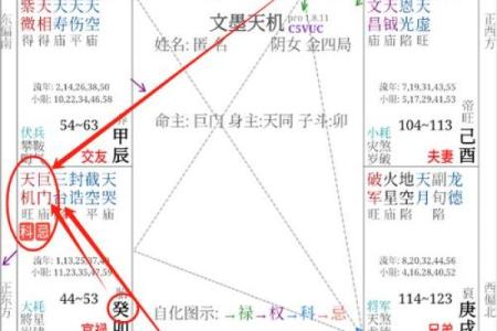 巨门紫薇斗数