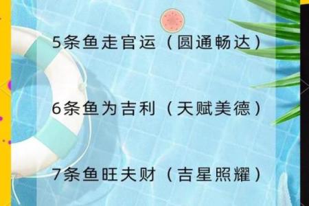 我是做生意的.怎样养风水鱼？