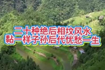 子孙后代风水