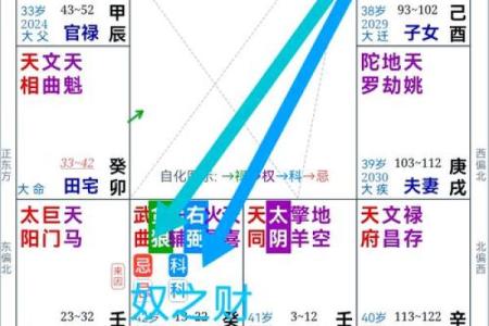 紫薇斗数看投资
