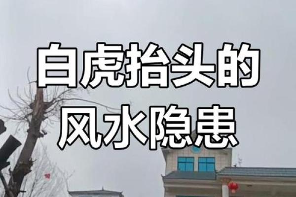白虎方位置，白虎位是哪个方位？