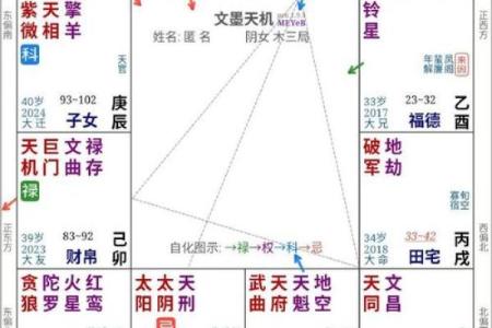 紫薇斗数代表什么