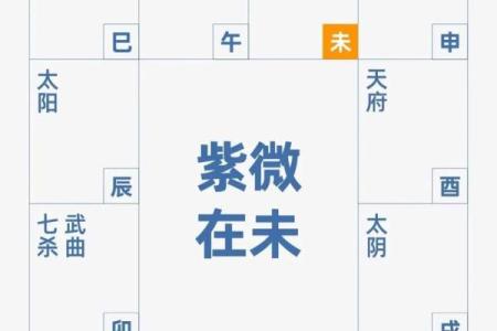 紫薇斗数贵子