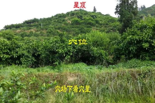 坟地风水方面的知识
