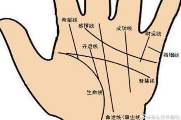 风水手相事业线止于感情线女人会有什么影响