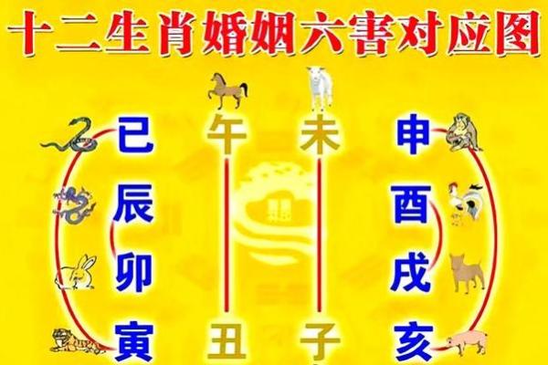 关于姻缘的风水