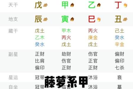 算命十个甲是什么意思