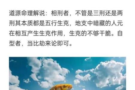 八字算命中十二地支相刑的详解