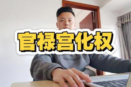 紫微斗数诸星落诸宫之：官禄宫