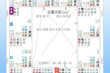 紫薇斗数全书真假判断