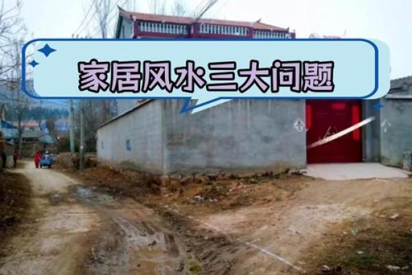 农村房子长草风水好吗