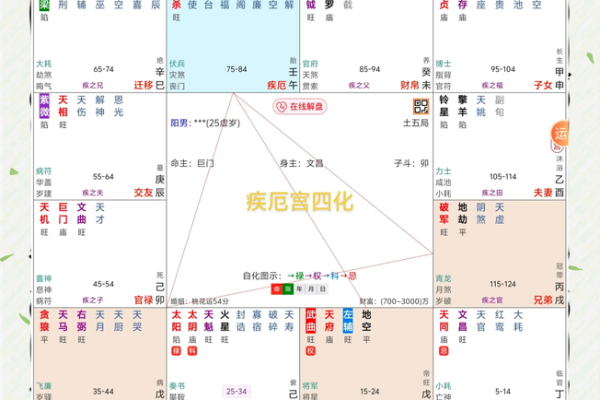 紫薇斗数预测阴宅