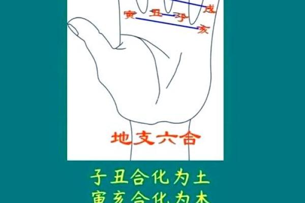 八字人体