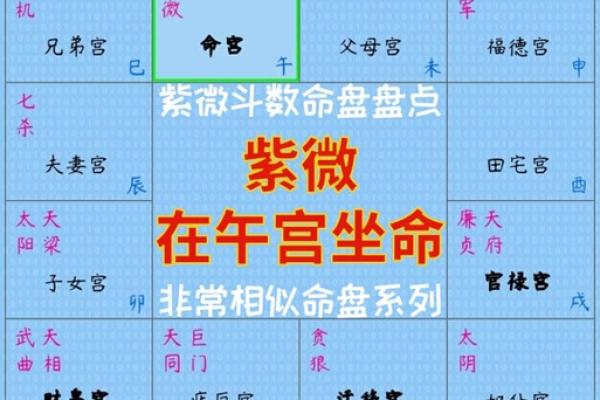 曾仕强谈紫薇斗数