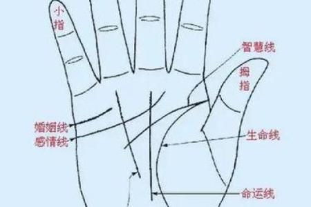 图解：手相中的事业线算命意义是