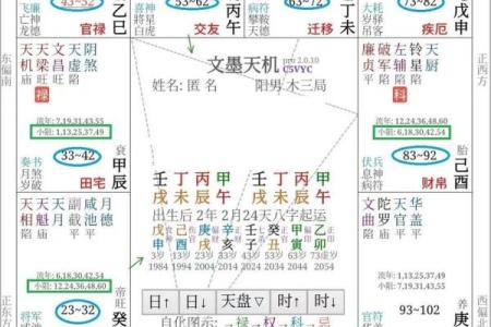 紫薇斗数宫不好