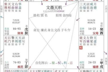 紫微斗数排盘廉贞星坐兄弟宫,廉贞星坐兄弟宫的意义