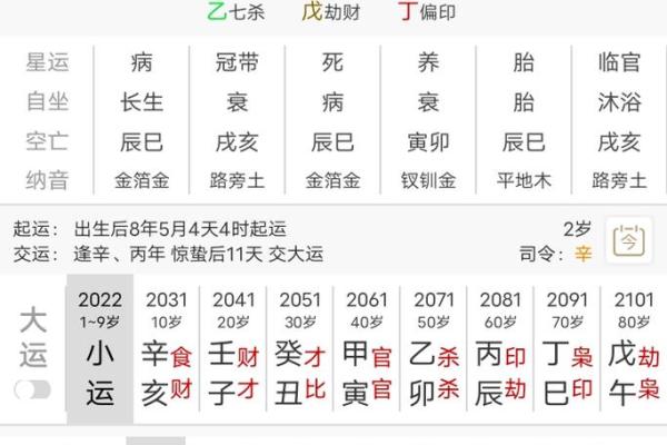 己巳日八字