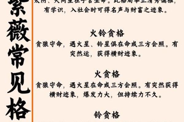紫薇斗数看运势