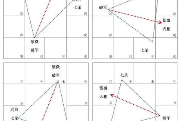 紫薇斗数单守什么意思