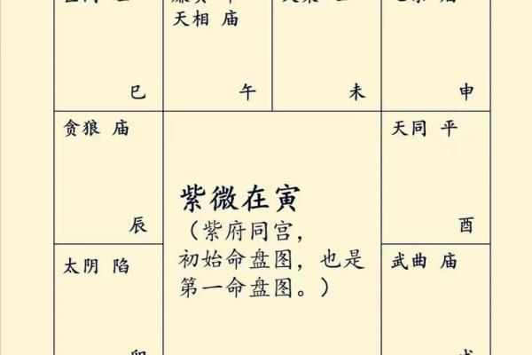 紫薇斗数下载