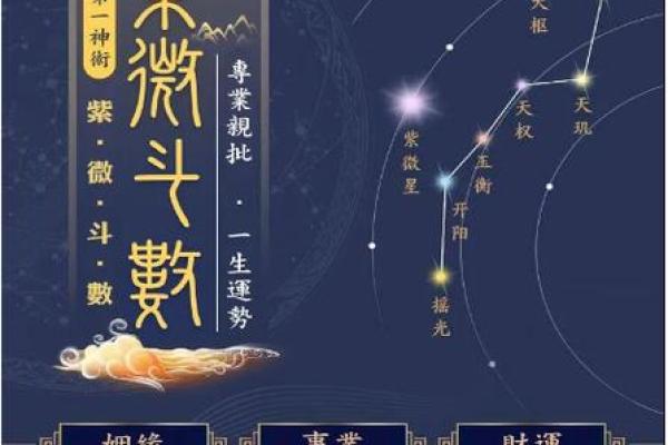 紫薇斗数下载