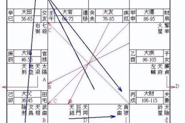 紫云派紫微斗数资料 紫云星是什么意思？