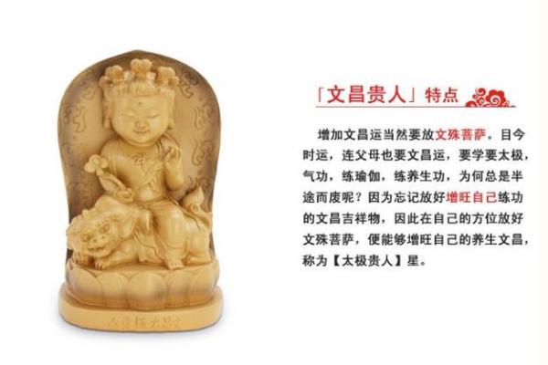 八字文昌加学堂：打造最优秀的文化教育平台