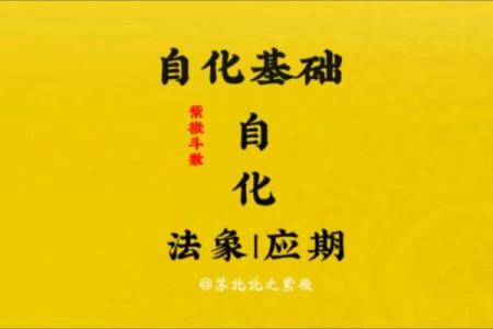 法象紫微斗数 紫微面相学法云居士？
