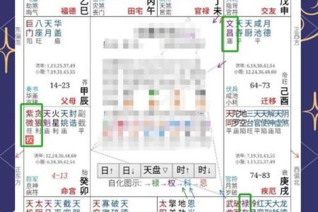 紫薇斗数看运势