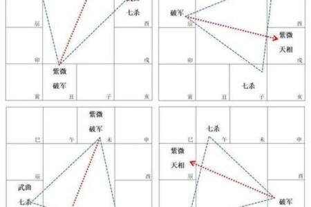 紫薇斗数单守什么意思