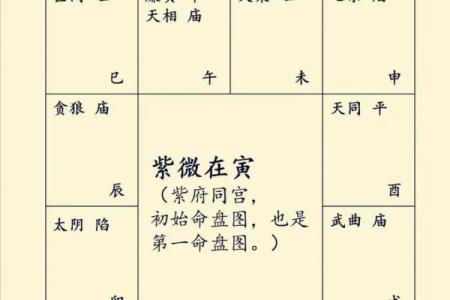 紫薇斗数下载