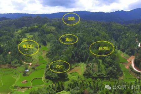 好风水坟地有什么特征