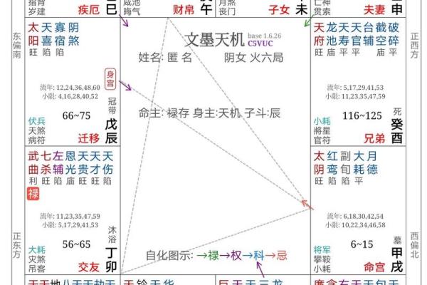 108紫微斗数 紫薇斗数108星详解？
