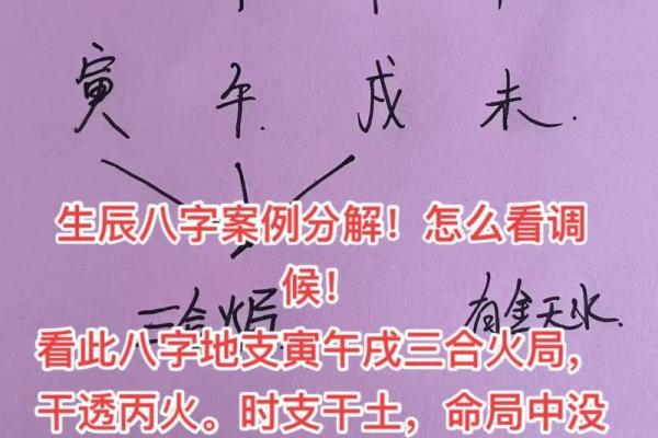 八字中的包局什么意思