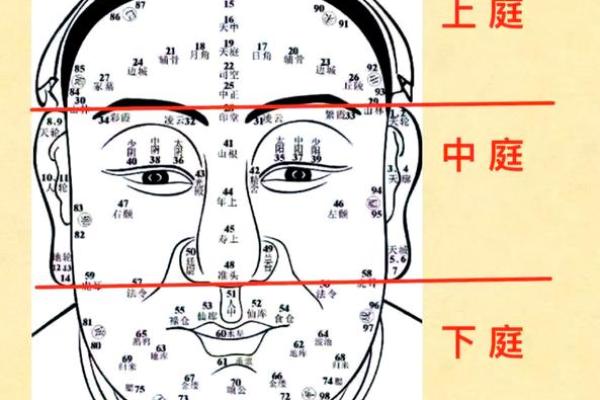 鼻头大的男人面相在风水中有哪些含义