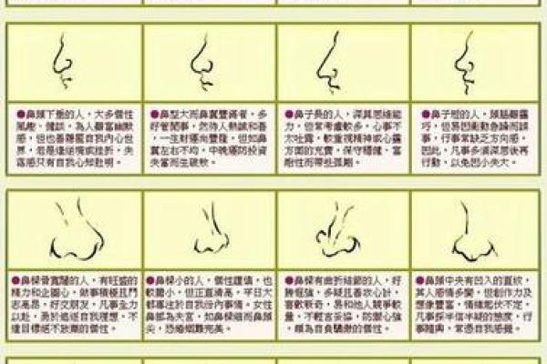 鼻头大的男人面相在风水中有哪些含义