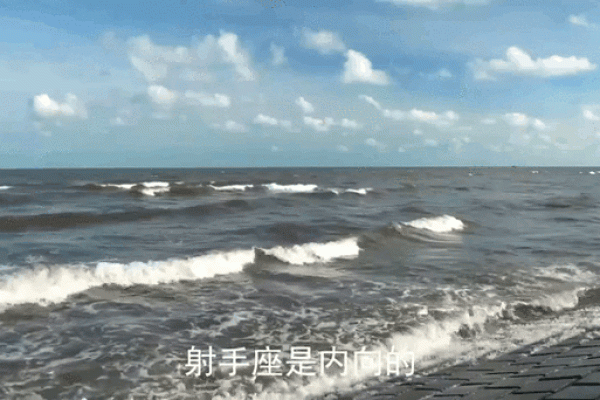 十二星座动态壁纸可收藏吗