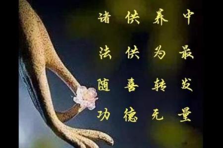 灵签前信佛道好吗