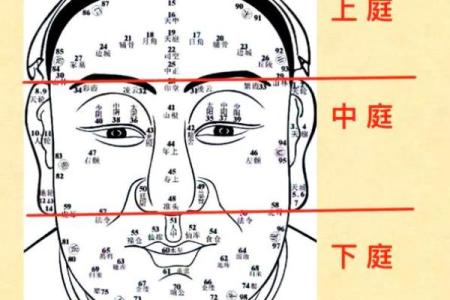 鼻头大的男人面相在风水中有哪些含义