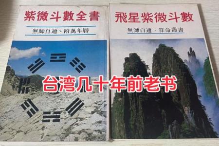 我的之一本紫薇斗数书