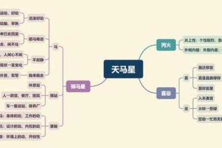 紫微斗数天马星之十二宫释义