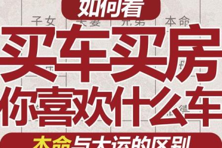 流年买车紫薇斗数