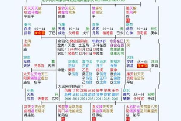 紫微斗数美国神婆在线排盘 星盘美国神婆？