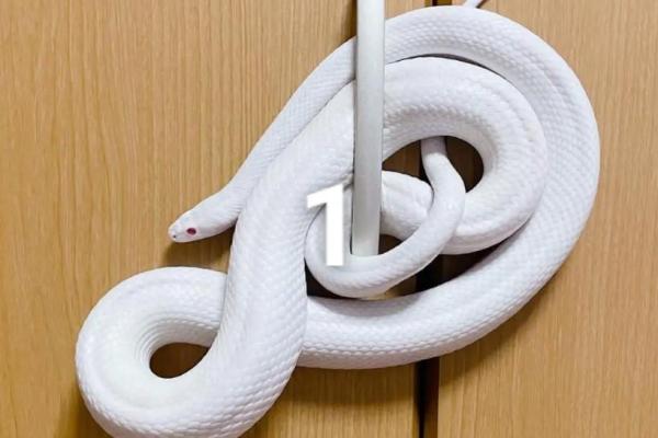 塔罗测试:最近你的财气如何? 塔罗测试:最近你的财气如何?