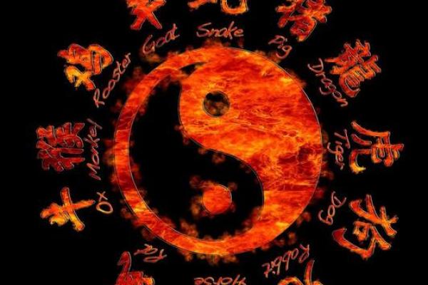 八字双龙 八字双龙