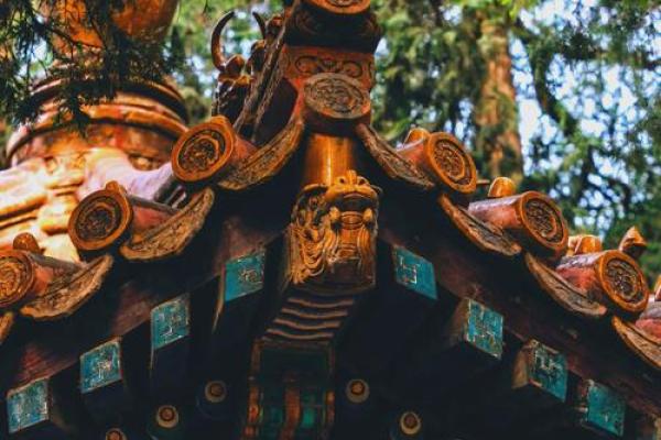风水学说_北京故宫御花园种了好多柏树