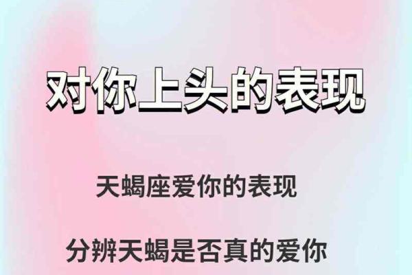 精明无人敢算计的星座  懂得布局老谋深算星座