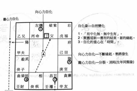 紫薇斗数象义